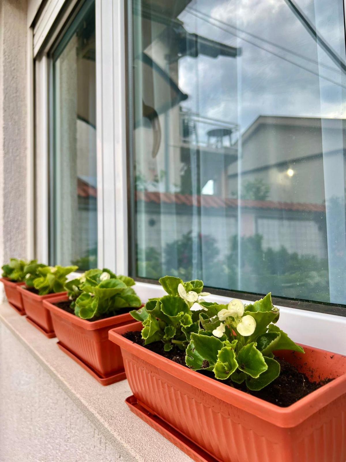 New Luxe Apartments Μόσταρ Εξωτερικό φωτογραφία